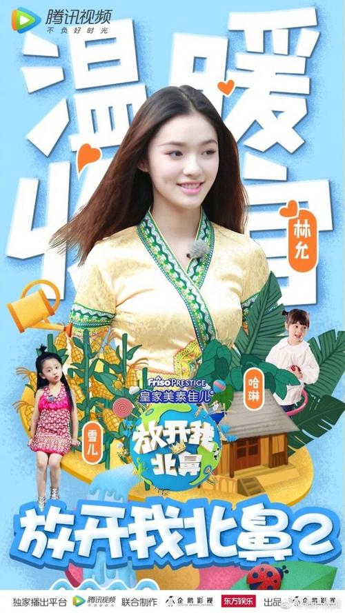 纽约州驾驶证怎么购买